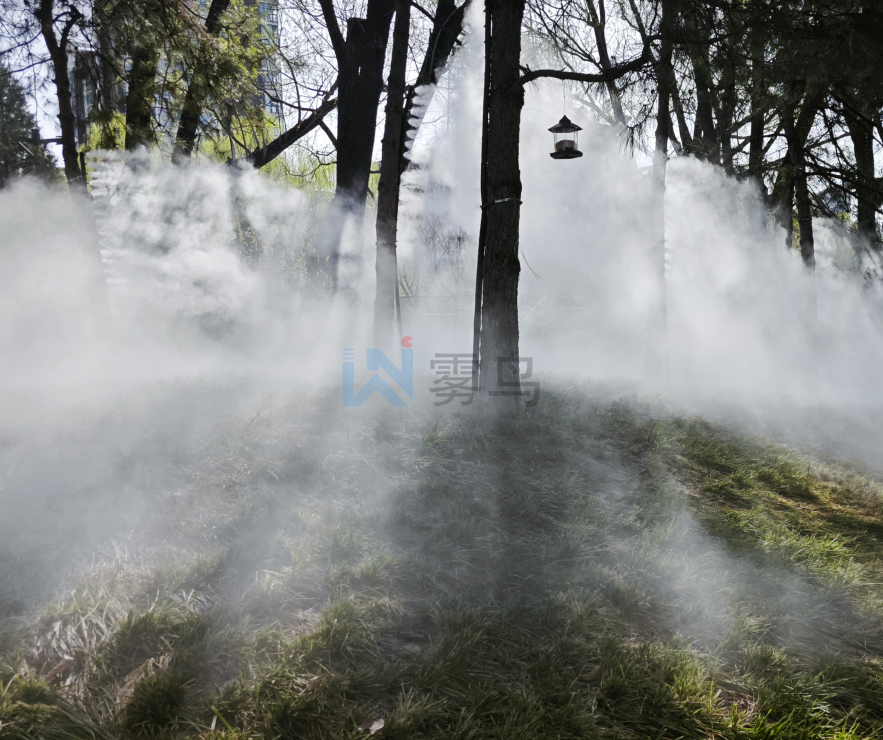 霧森系統(tǒng)?【必打卡】自帶濾鏡的“迷霧森林”，隨手一拍就是大片！